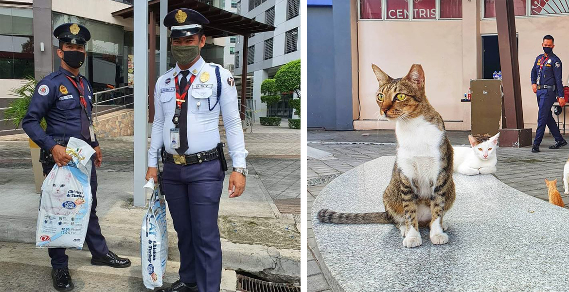 How the Eton Centris community takes care of its stray cats