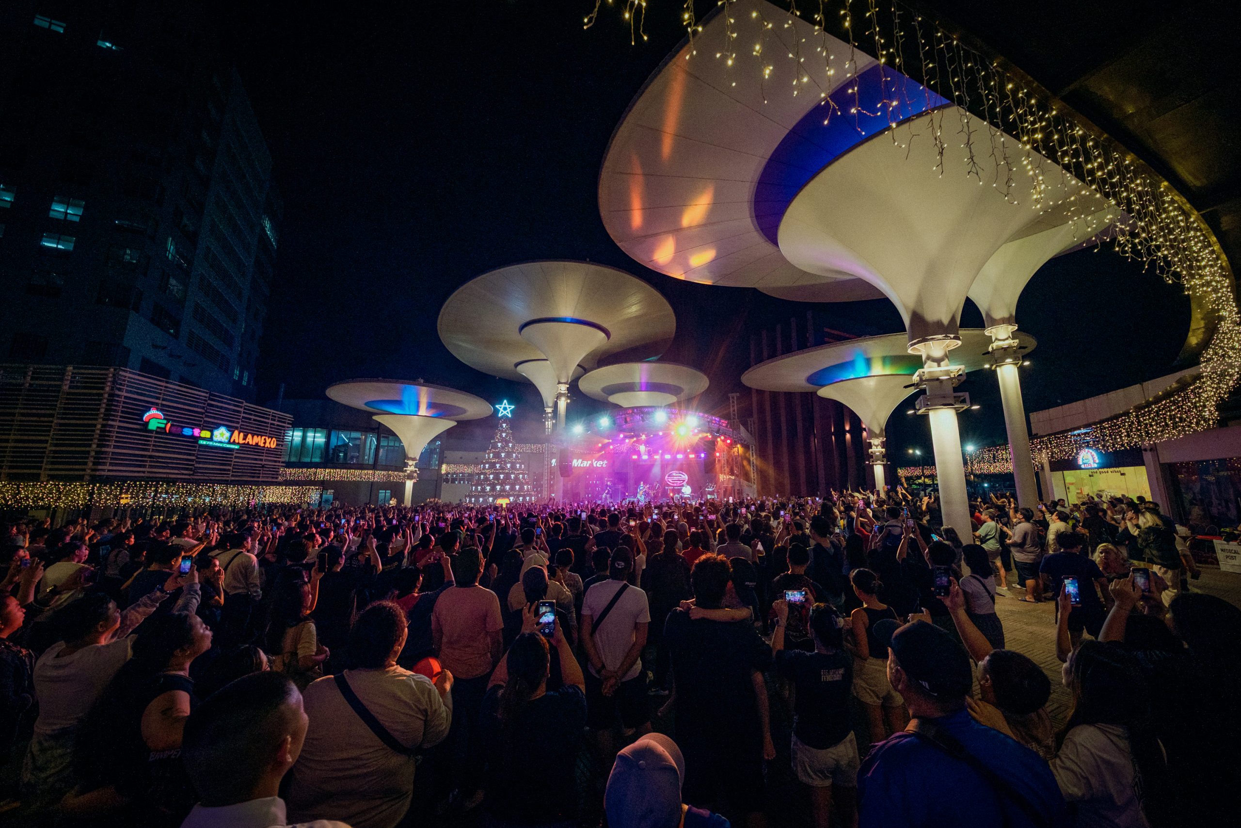 Crowd Shot Beyond Beats Concert